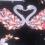 Profile picture for user lindayarbrough