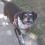Profile picture for user sherryfaulkner