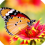 Profile picture for user kathydaly