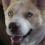 Profile picture for user mariannewilson