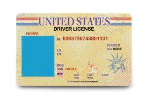 New York Drivers License