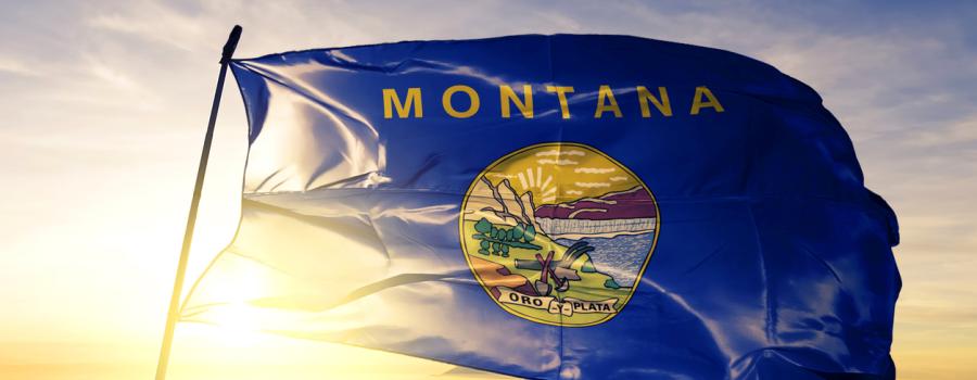 Montana State Flag