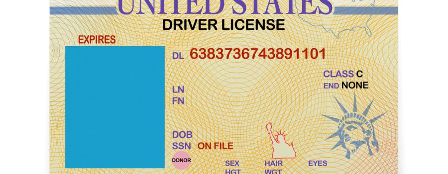 New York Drivers License